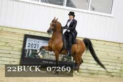 22BUCK_07269 proof