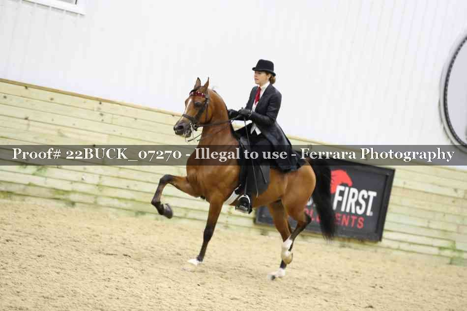Proof 22BUCK_07270