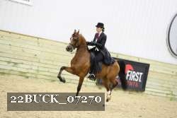 22BUCK_07270 proof