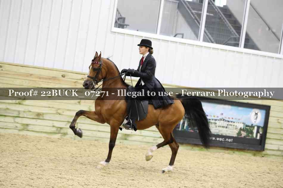 Proof 22BUCK_07271