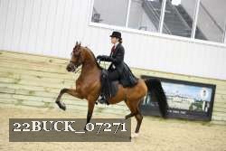 22BUCK_07271 proof
