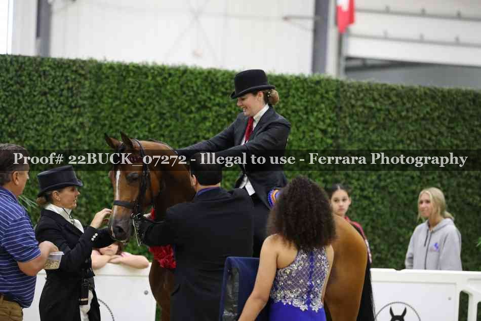 Proof 22BUCK_07272