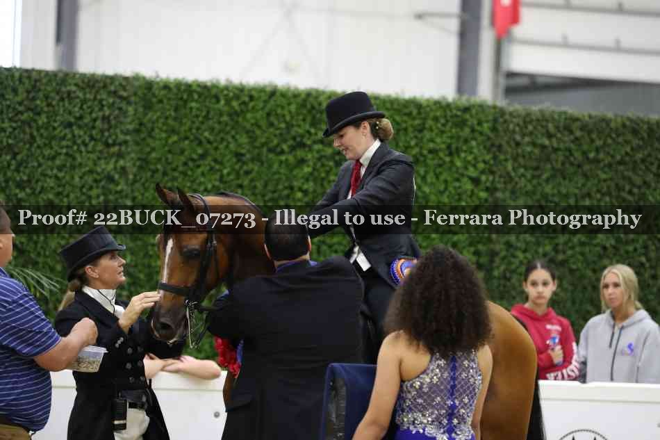 Proof 22BUCK_07273