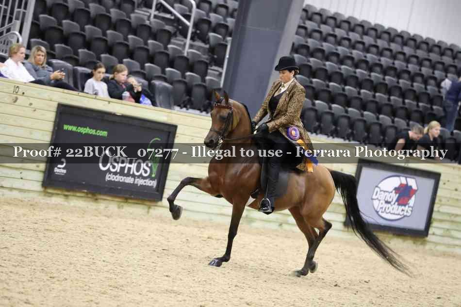 Proof 22BUCK_07277
