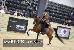 22BUCK_07277 proof