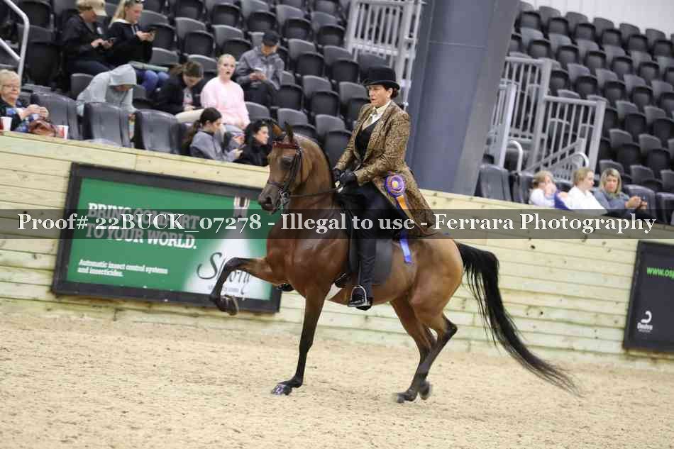 Proof 22BUCK_07278