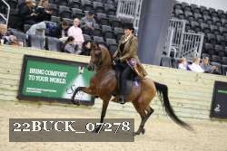 22BUCK_07278 proof