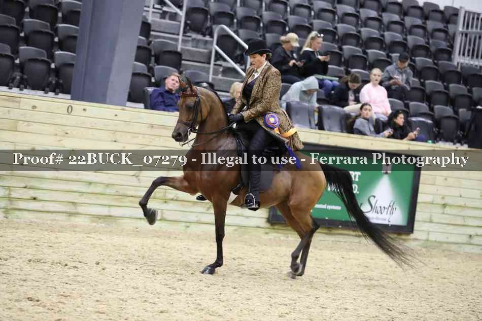 Proof 22BUCK_07279