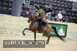 22BUCK_07279 proof