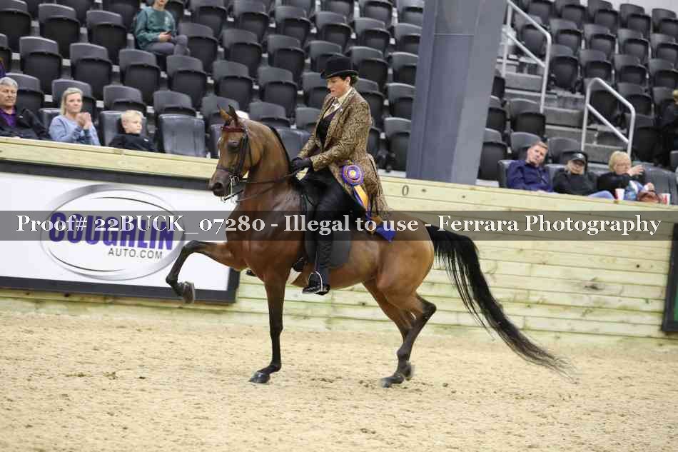 Proof 22BUCK_07280