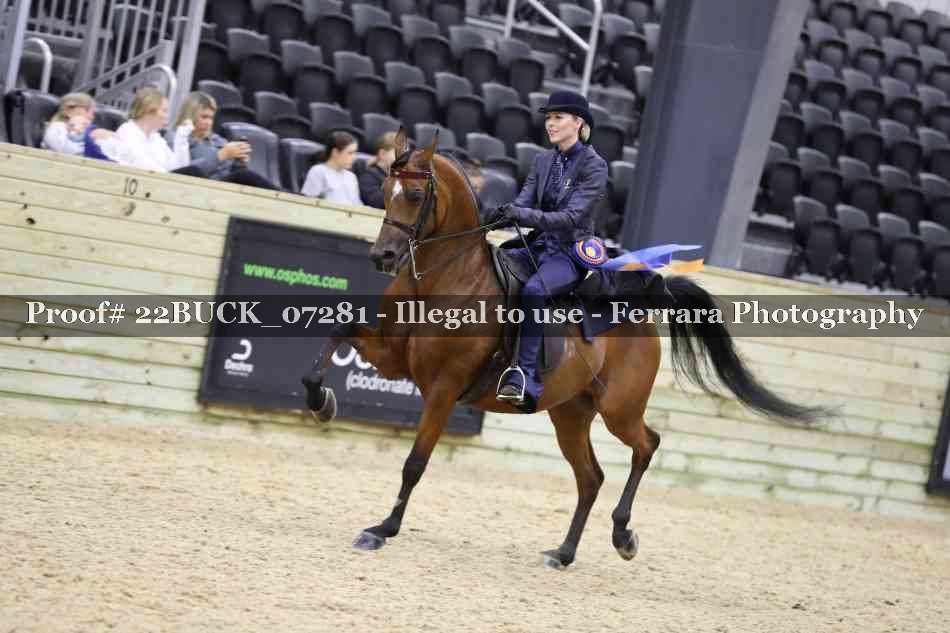 Proof 22BUCK_07281