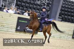 22BUCK_07281 proof