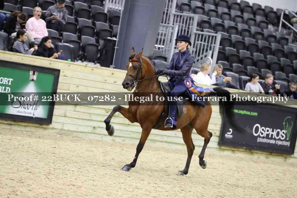 Proof 22BUCK_07282