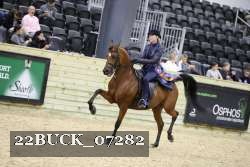 22BUCK_07282 proof