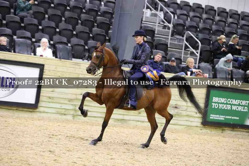 Proof 22BUCK_07283