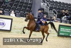 22BUCK_07283 proof