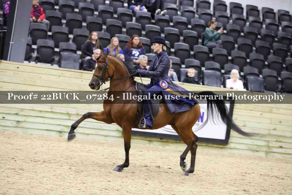 Proof 22BUCK_07284