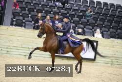22BUCK_07284 proof