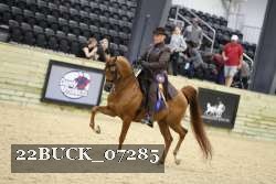 22BUCK_07285 proof