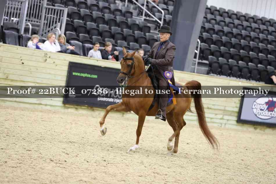 Proof 22BUCK_07286