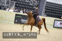 22BUCK_07286 proof