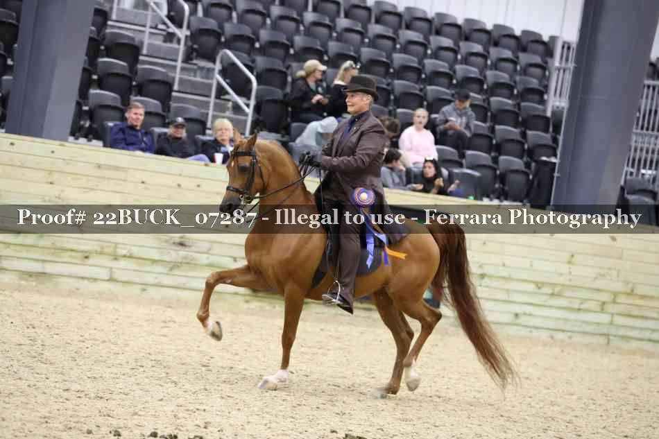 Proof 22BUCK_07287