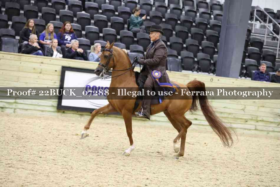 Proof 22BUCK_07288