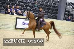 22BUCK_07288 proof