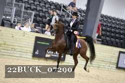 22BUCK_07290 proof