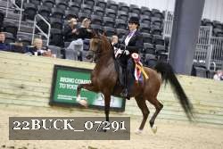 22BUCK_07291 proof