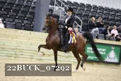 22BUCK_07292 proof