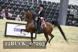 22BUCK_07293 proof