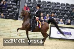 22BUCK_07294 proof