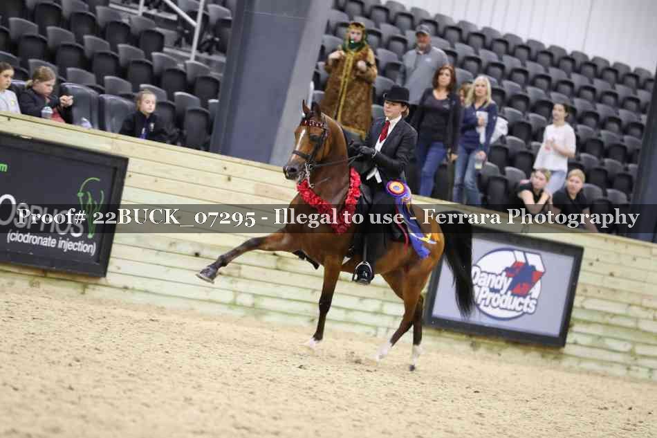 Proof 22BUCK_07295