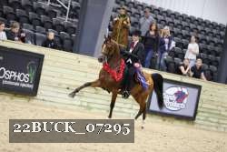 22BUCK_07295 proof