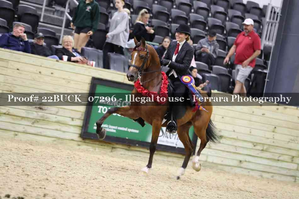 Proof 22BUCK_07296