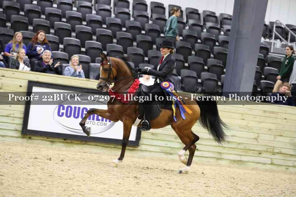 Proof 22BUCK_07297