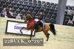 22BUCK_07297 proof