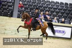 22BUCK_07298 proof