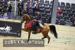 22BUCK_07299 proof