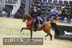 22BUCK_07300 proof