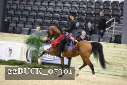 22BUCK_07301 proof