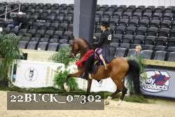 22BUCK_07302 proof