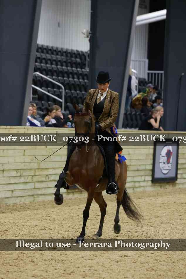 Proof 22BUCK_07303
