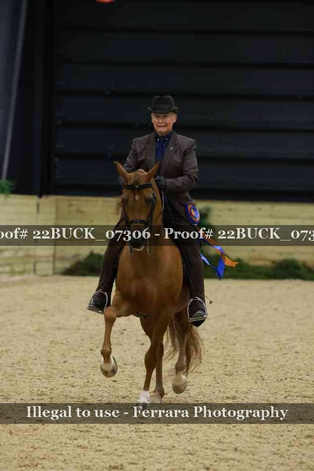 Proof 22BUCK_07306
