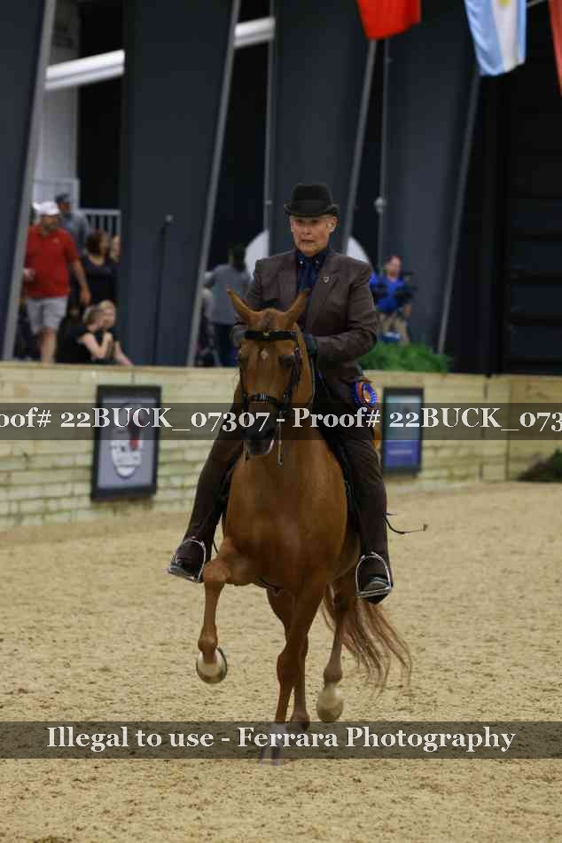 Proof 22BUCK_07307