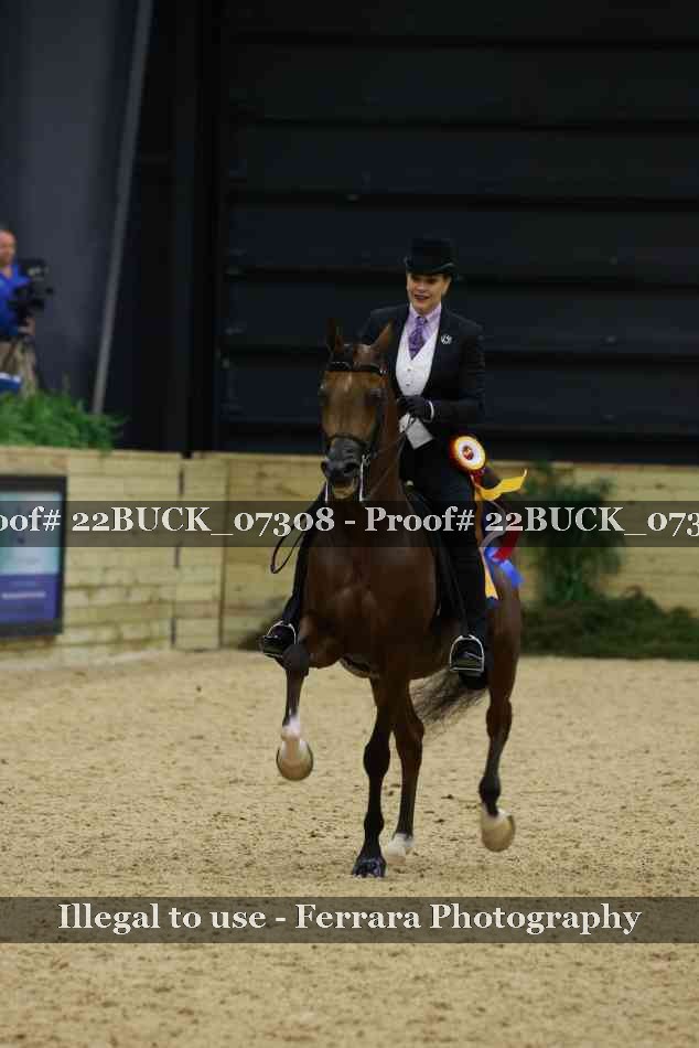 Proof 22BUCK_07308