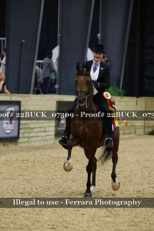 Proof 22BUCK_07309