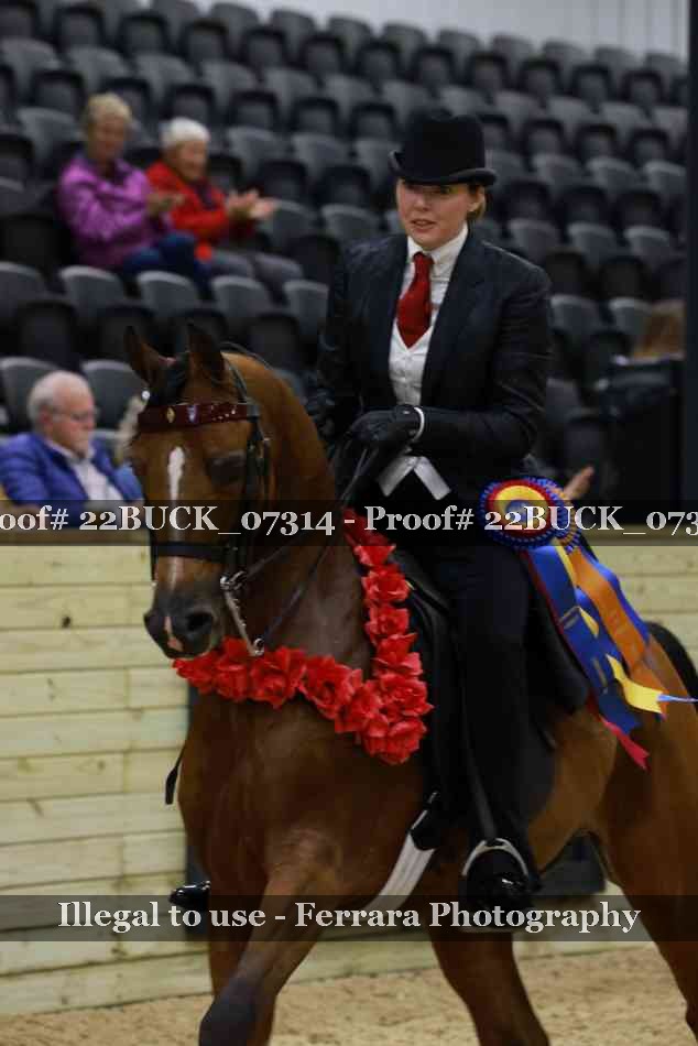 Proof 22BUCK_07314
