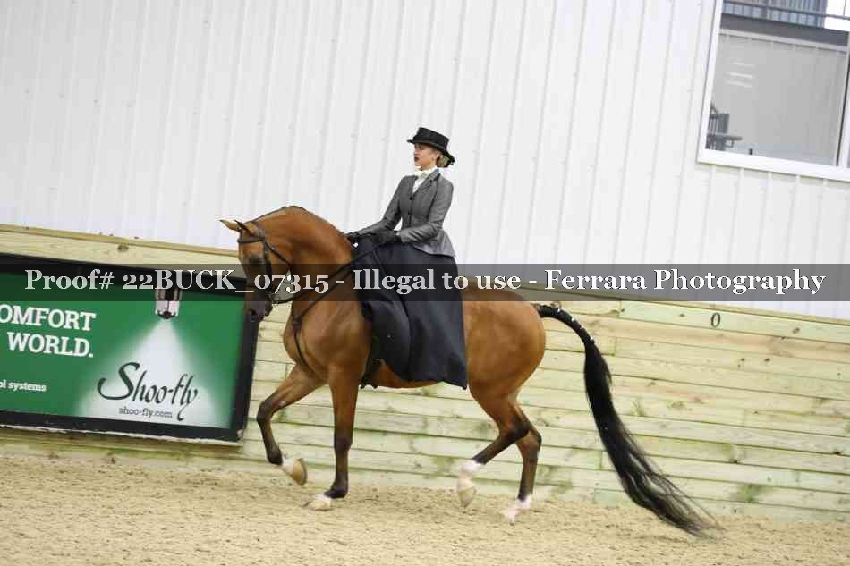 Proof 22BUCK_07315